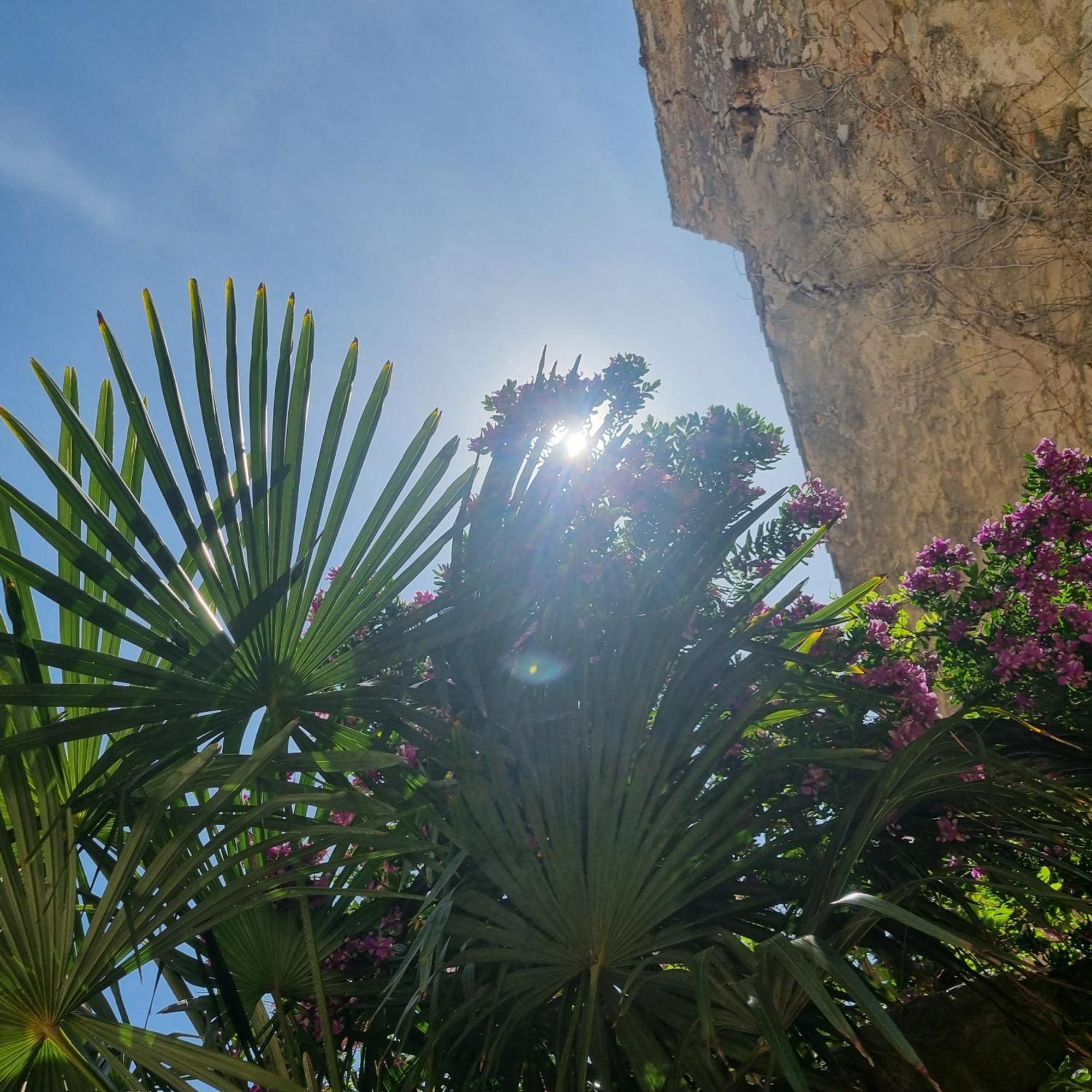 La Bulle Caree Village La Palme